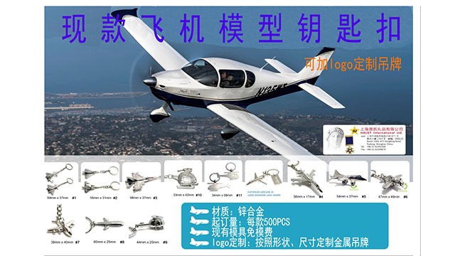 既製飛行機モデルキーホルダー